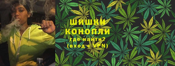 шишки Верхний Тагил